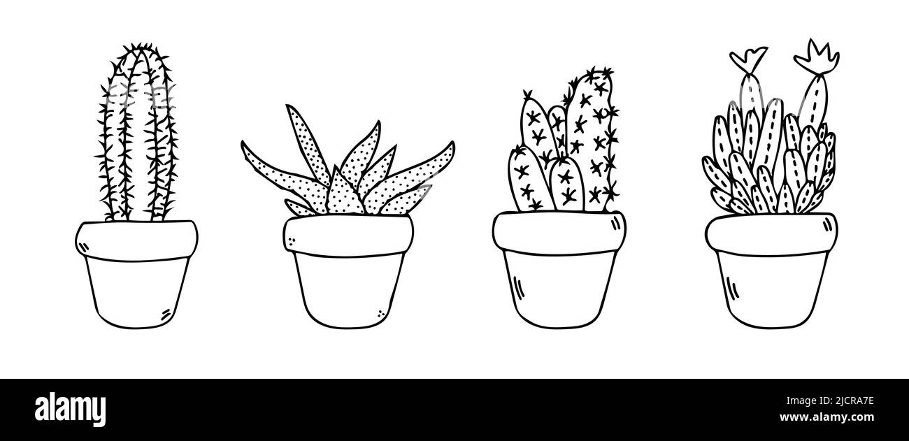 Cactus défini dans les icônes d'esquisse de vecteur pot. Illustration de succulents noirs mignons. Cactus mexicains maison dans la ligne de pots de fleurs art. Illustration de Vecteur