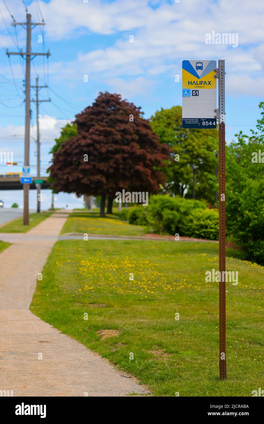 Panneau d'information sur l'arrêt d'autobus de Halifax Transit avec accès handicapés et numéro d'arrêt pour le suivi. HALIFAX, NOUVELLE-ÉCOSSE, CANADA - JUIN 2022 Banque D'Images