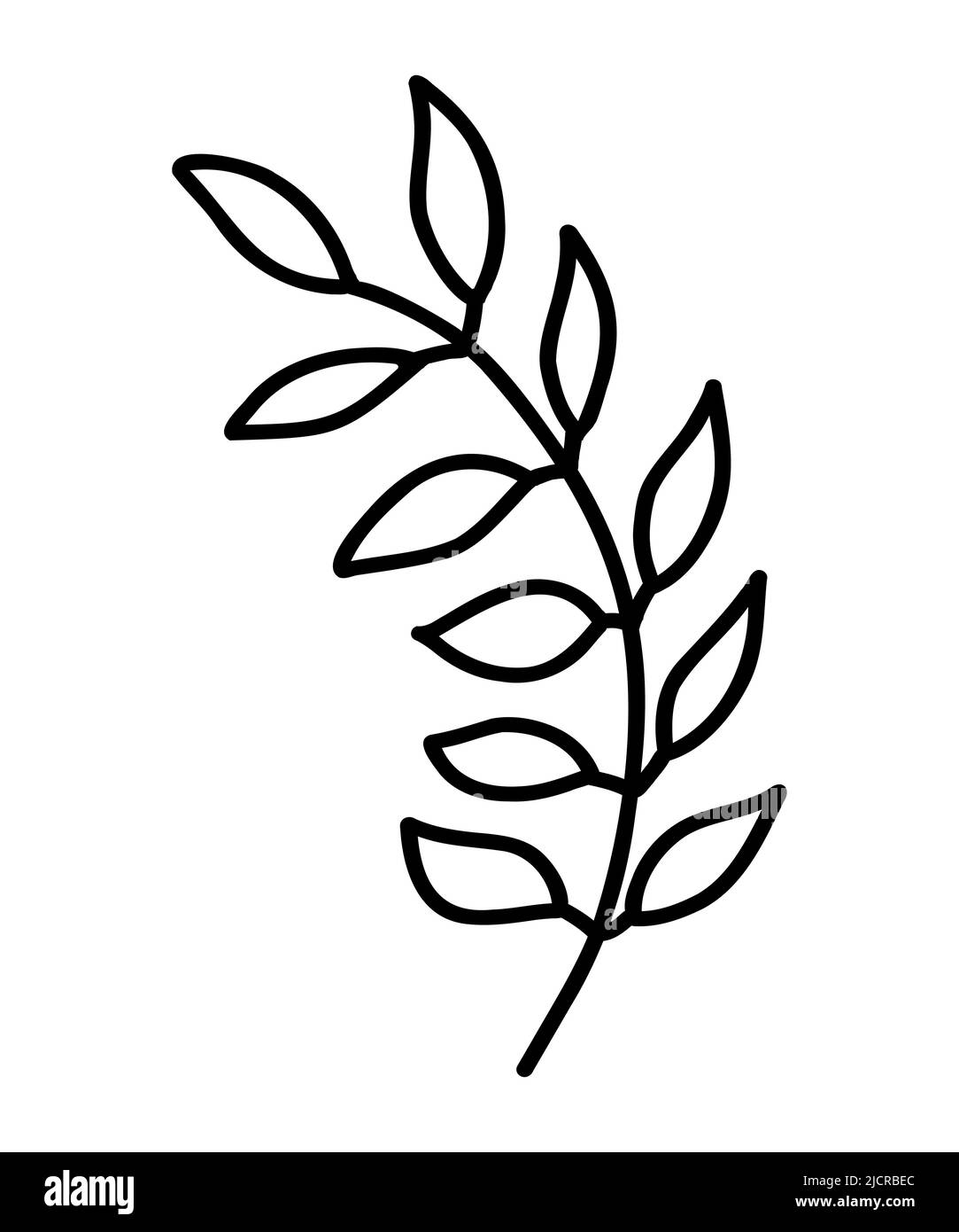 Icône de branche vectorielle. Branche de l'arbre. Icône de contour d'une branche d'arbre, clip art, style de caniche. Dessin à la main. Branche décorative florale d'une plante avec des feuilles. Illustration de Vecteur