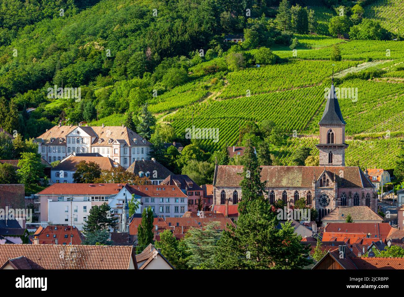 Église catholique Presbytère et ville de Ribeauville, le long de la route des vins, Alsace Haut-Rhin, France Banque D'Images