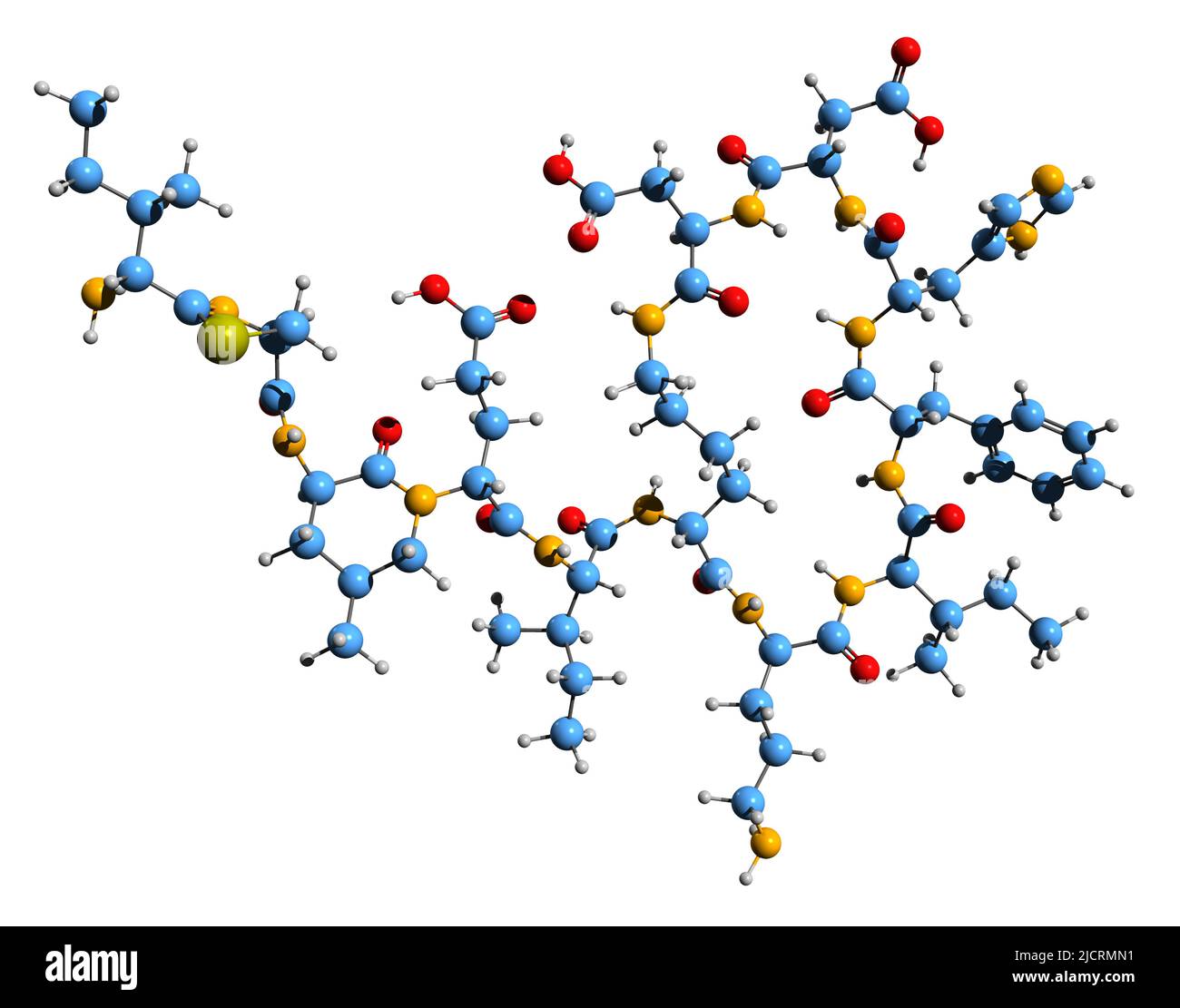 3D image de la formule squelettique de Bacitracine - structure chimique moléculaire de l'antibiotique polypeptide Е700 isolé sur fond blanc Banque D'Images