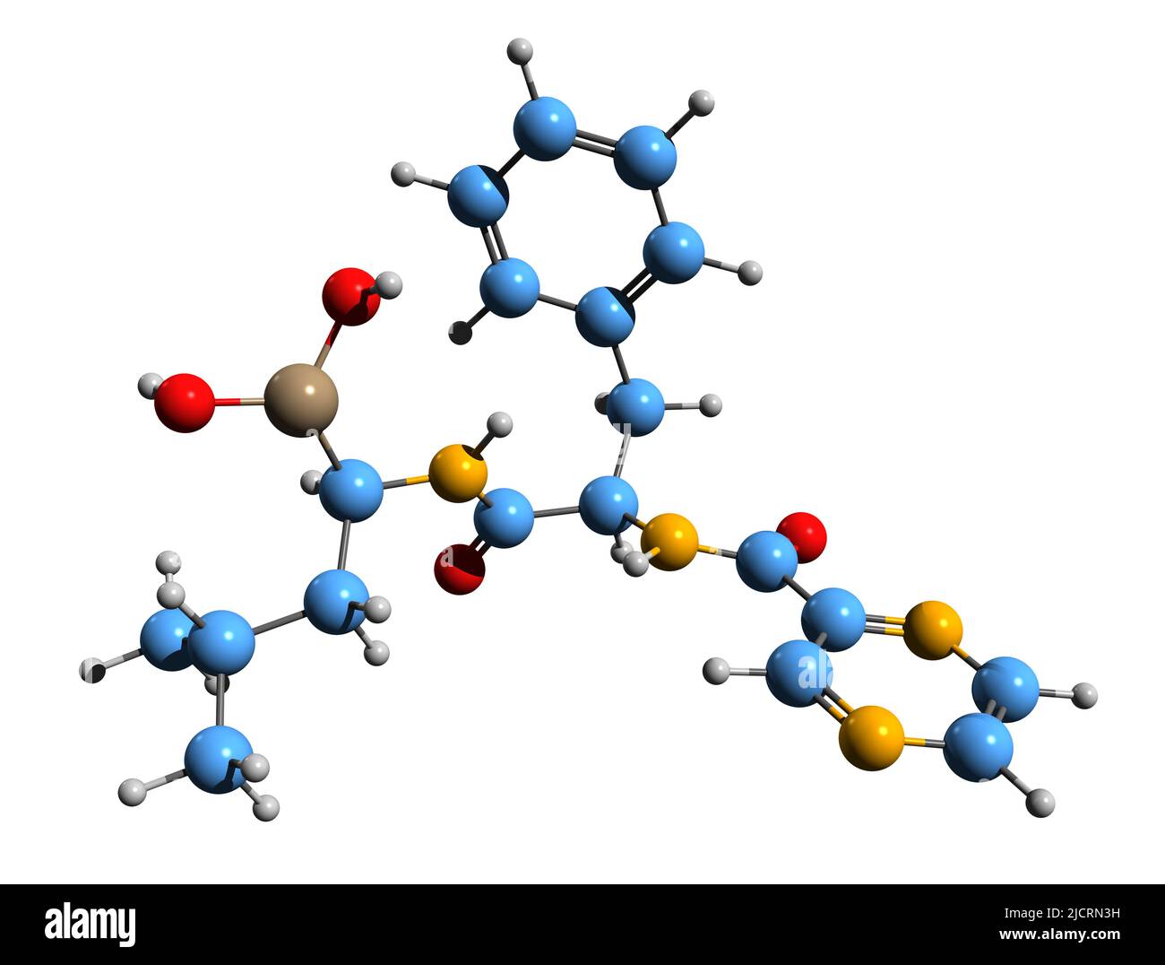 3D image de la formule squelettique de Bortézomib - structure chimique moléculaire du médicament anti-cancer isolé sur fond blanc Banque D'Images