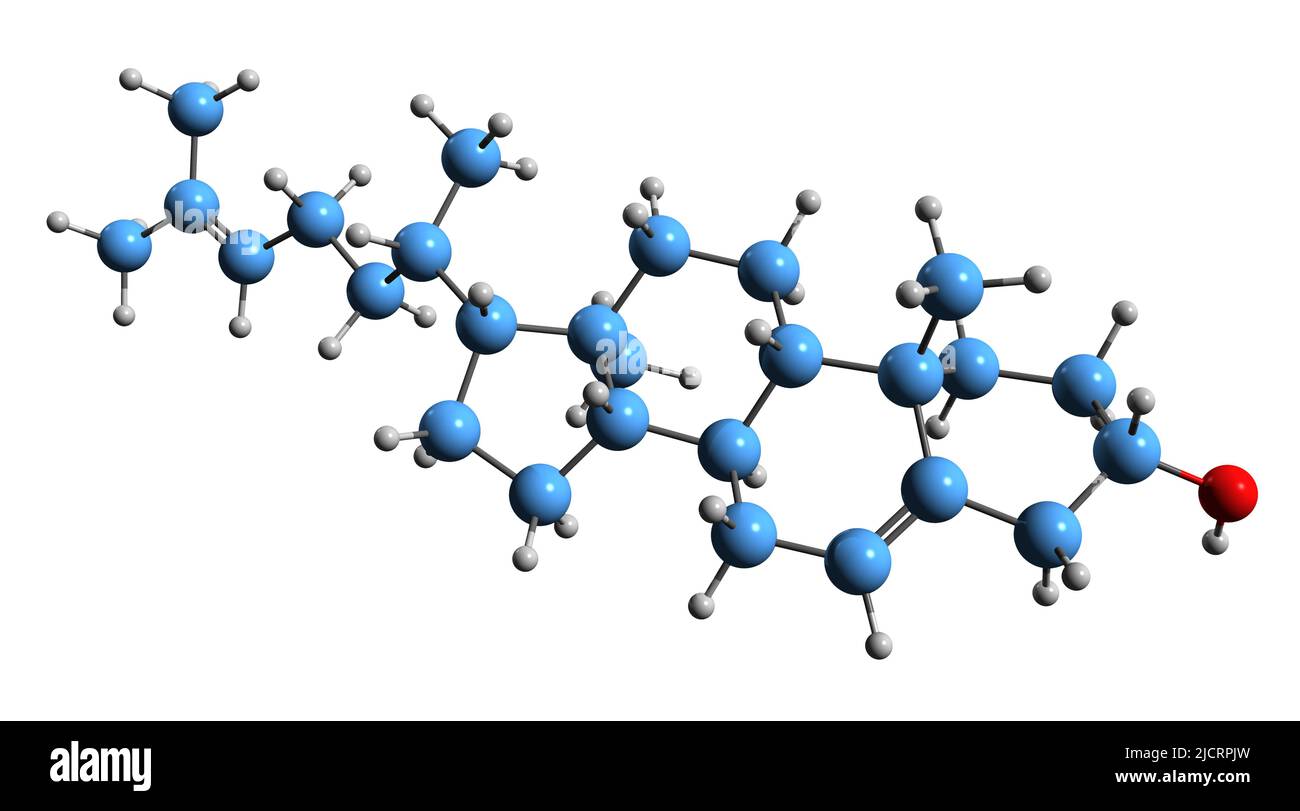 3D image de la formule squelettique de Desmosterol - structure chimique moléculaire du précurseur du cholestérol isolé sur fond blanc Banque D'Images