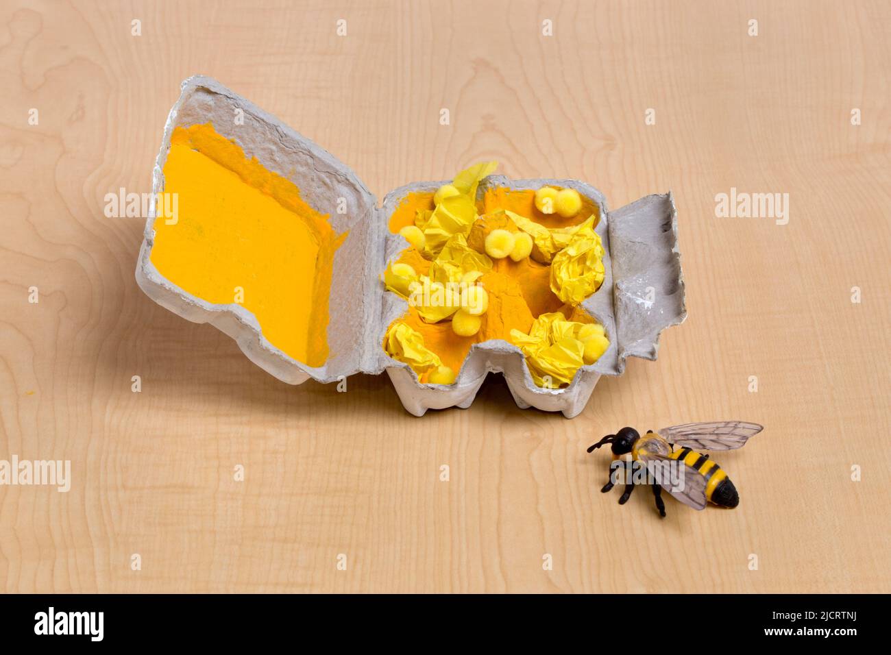 Projet d’artisanat pour enfants utilisant un carton d’œufs pour décrire l’intérieur d’un nid d’abeilles avec des larves et du pollen. Banque D'Images
