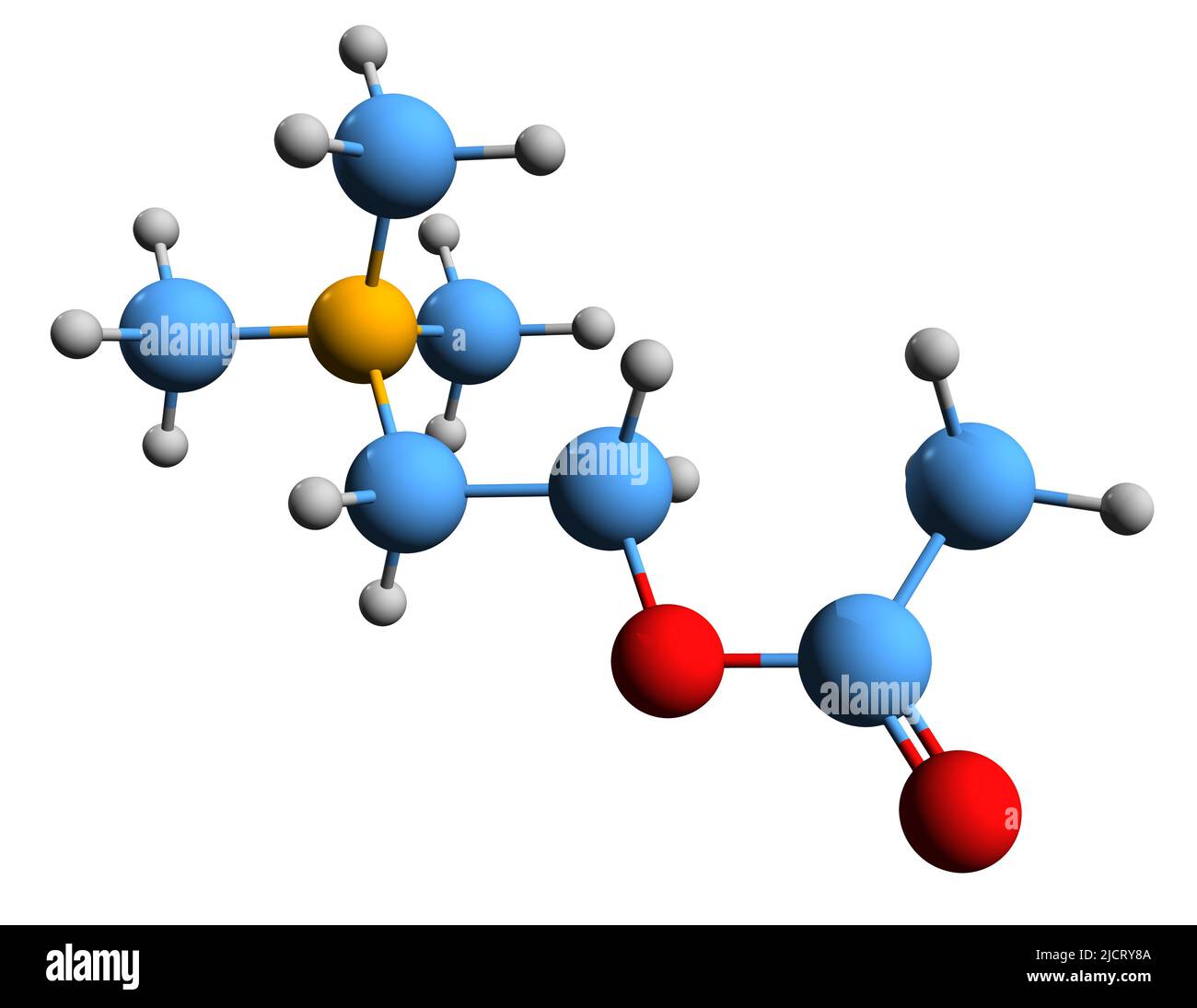3D image de la formule squelettique de l'acétylcholine - structure chimique moléculaire du neurotransmetteur ACh isolé sur fond blanc Banque D'Images
