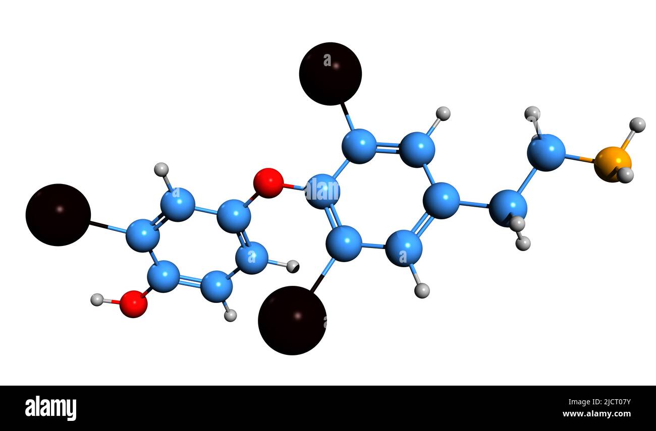 3D image de la formule squelettique 3,3,5-Triiodothyronamine - structure chimique moléculaire de la thyronamine isolée sur fond blanc Banque D'Images