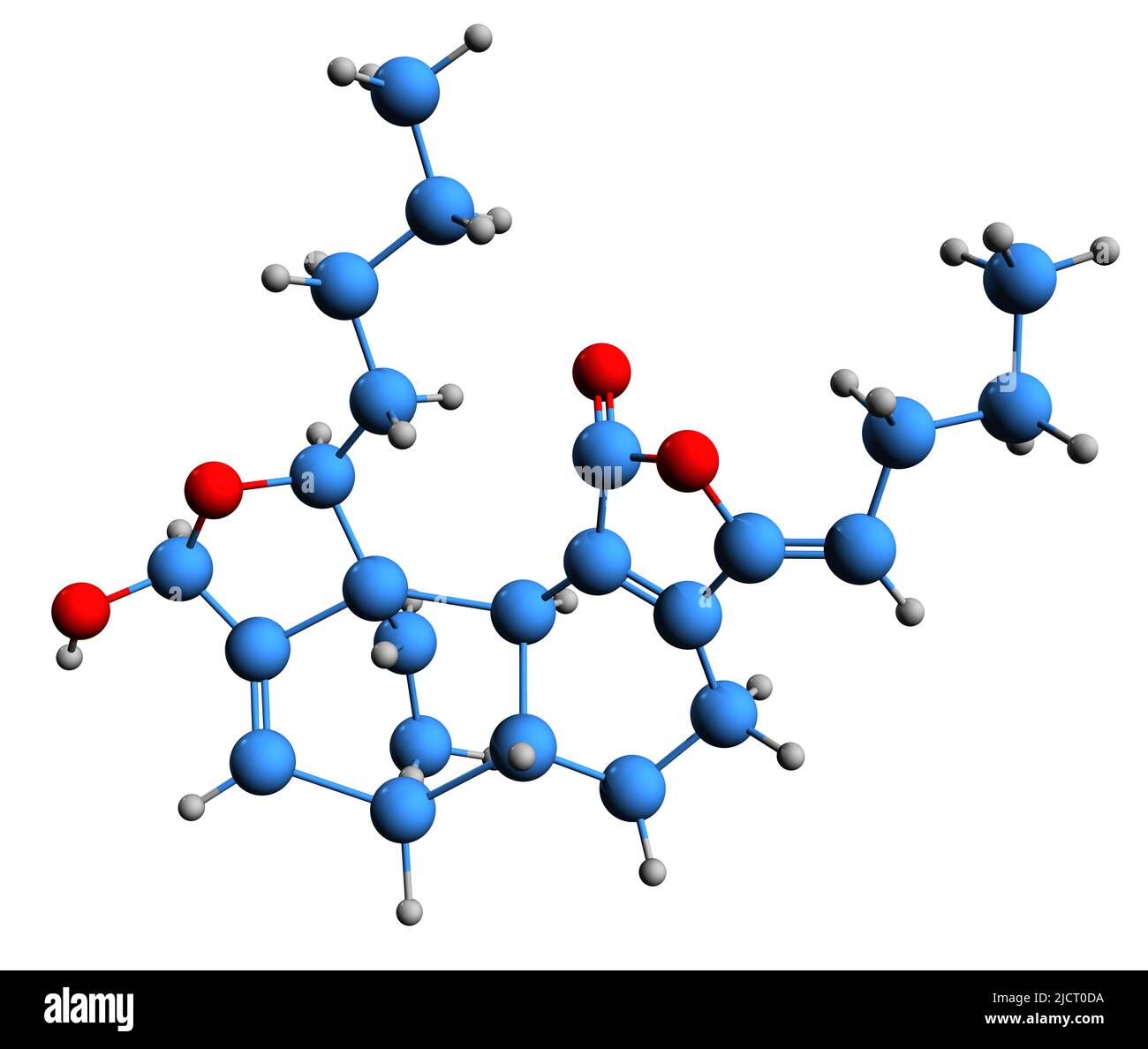 3D image de la formule squelettique 3,8-Dihydrodiligustilide - structure chimique moléculaire du phytoprogestatif non stéroïdien isolé sur fond blanc Banque D'Images