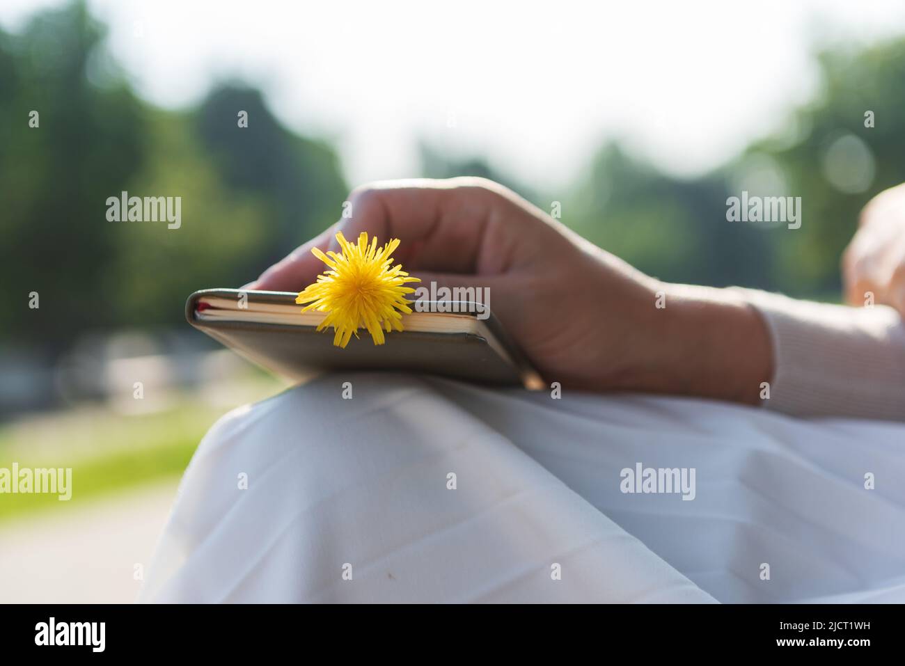 Main de femme tenant une fleur jaune dans un journal, foyer sélectif.concept de insouciance. Banque D'Images