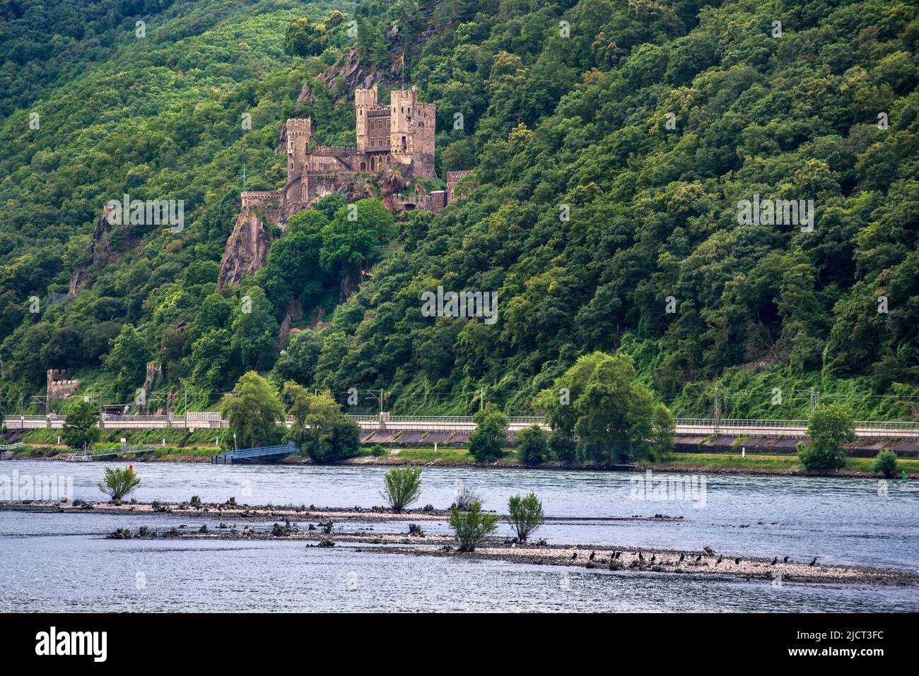 Châteaux le long de la rivière Rhin Allemagne vieux bâtiments très romantique grande architecture tours murs chevalier ' jeux de chevalier ' St.Goar Rhénanie Pfalz Banque D'Images