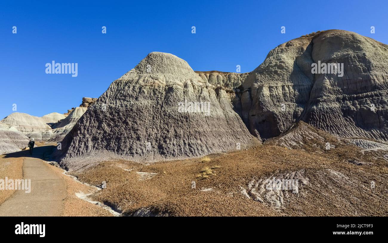 Le désert peint un jour ensoleillé. Divers roches sédimentaires et argile lavées par l'eau. Parc national de la forêt pétrifiée, États-Unis, Arizona Banque D'Images