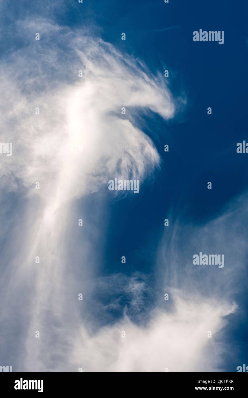 Cirrus Nuages dans le ciel bleu avec des nuages intéressants Banque D'Images