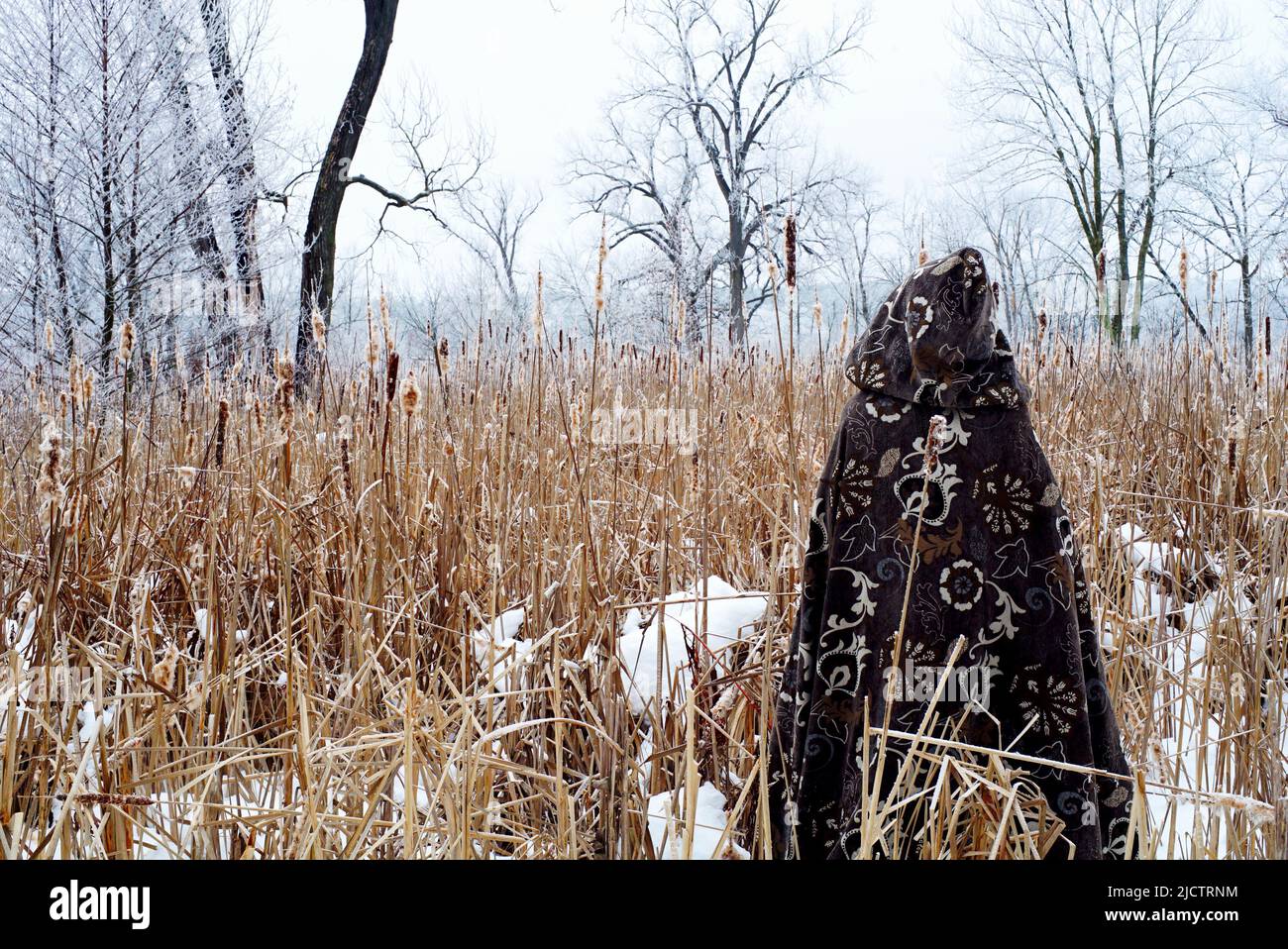Magicien en manteau médiéval regarde un champ de gel de hoar d'hiver. Des images magiques évoquent un autre monde. Banque D'Images