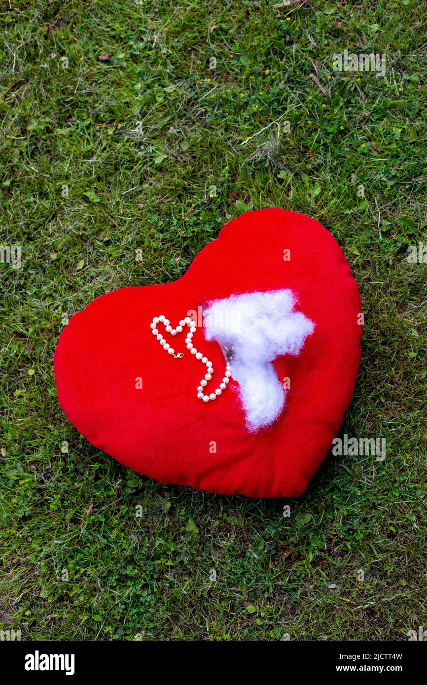 coeur en peluche déchiré rouge avec des bijoux couchés dans l'herbe Banque D'Images