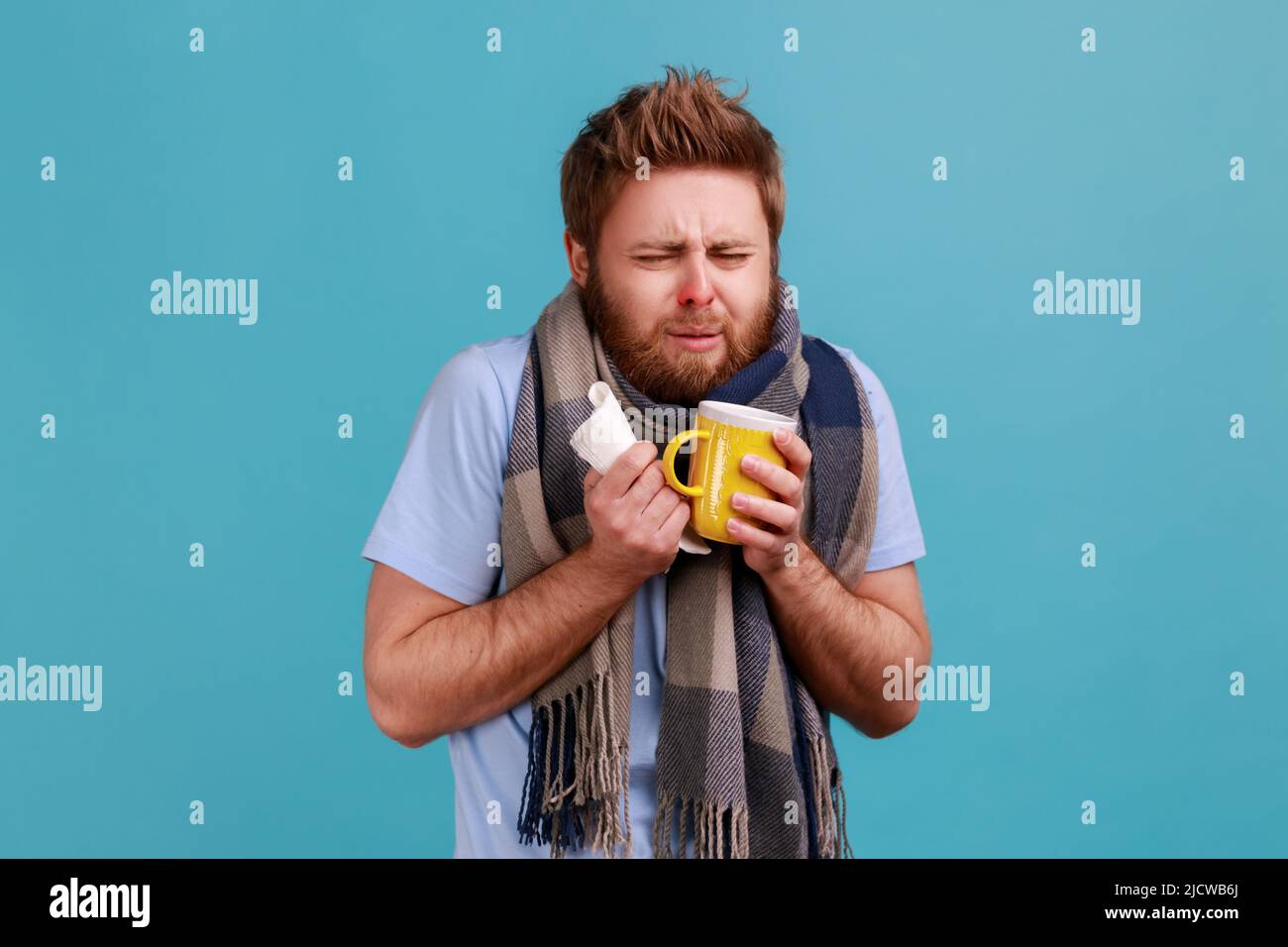 Portrait d'un homme barbu malade enveloppé d'une écharpe tenant une serviette en papier et une tasse de thé, se sentant agacé de la grippe virale, pleurant, étant contrarié. Studio d'intérieur isolé sur fond bleu. Banque D'Images