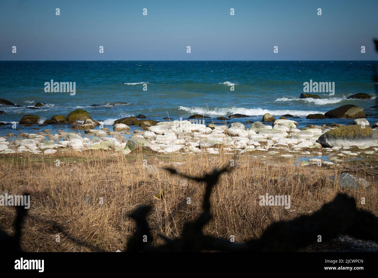 Vue le long de la rive de la mer Baltique, avec ses grandes pierres uniques, en premier plan la végétation flétrissante Banque D'Images