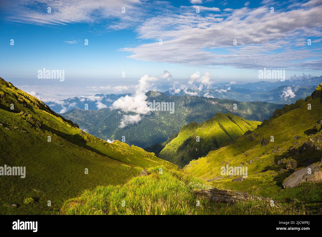 Le Khaliya Top est une prairie sinueuse entourée de sommets enneigés, offrant une vue impressionnante sur la terre mystique de Kumaun, situé près de Munsiyar Banque D'Images