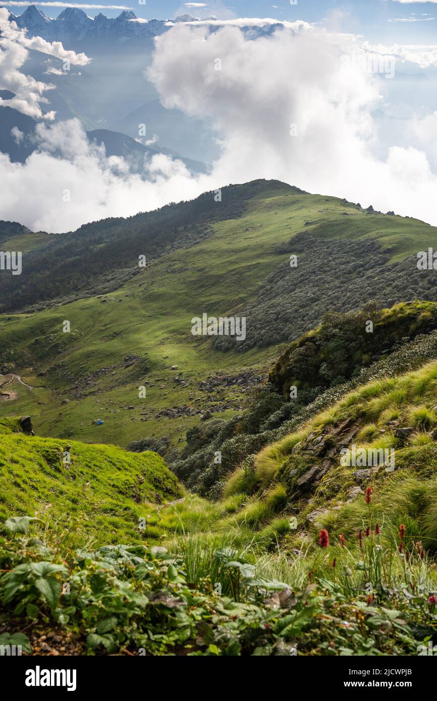 Le Khaliya Top est une prairie sinueuse entourée de sommets enneigés, offrant une vue impressionnante sur la terre mystique de Kumaun, situé près de Munsiyar Banque D'Images