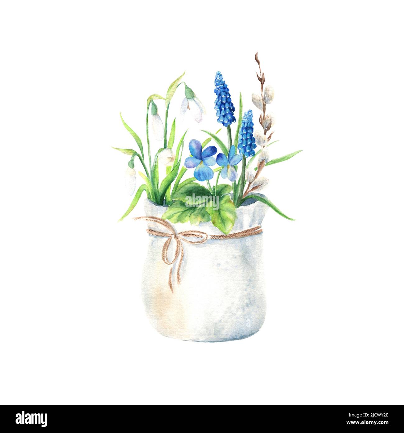 Fleurs printanières dans un pot-cadeau isolé sur fond blanc. Snowdrop, muscari, pansy, branche de saule. Illustration botanique aquarelle dessinée à la main. Banque D'Images