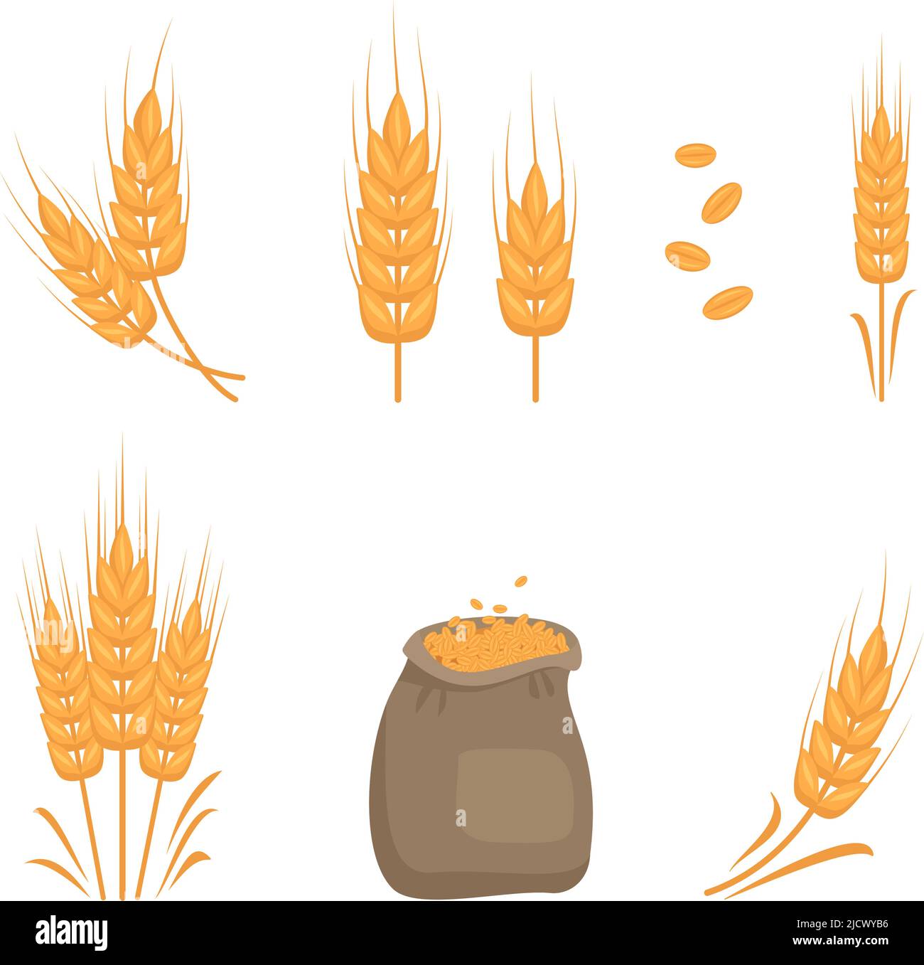 Ensemble d'épis de blé dorés, grains pour la fabrication de farine, pain à pâte et autres produits alimentaires et sac de graines. Illustration vectorielle plate Illustration de Vecteur