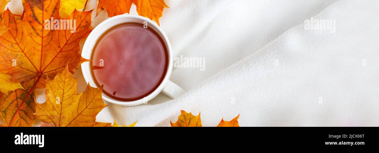 Une tasse de café ou de thé blanc avec des feuilles d'automne dorées sur un fond tricoté en tissu écossais blanc. Vue du dessus à plat. Concept d'automne. Petit déjeuner confortable Banque D'Images