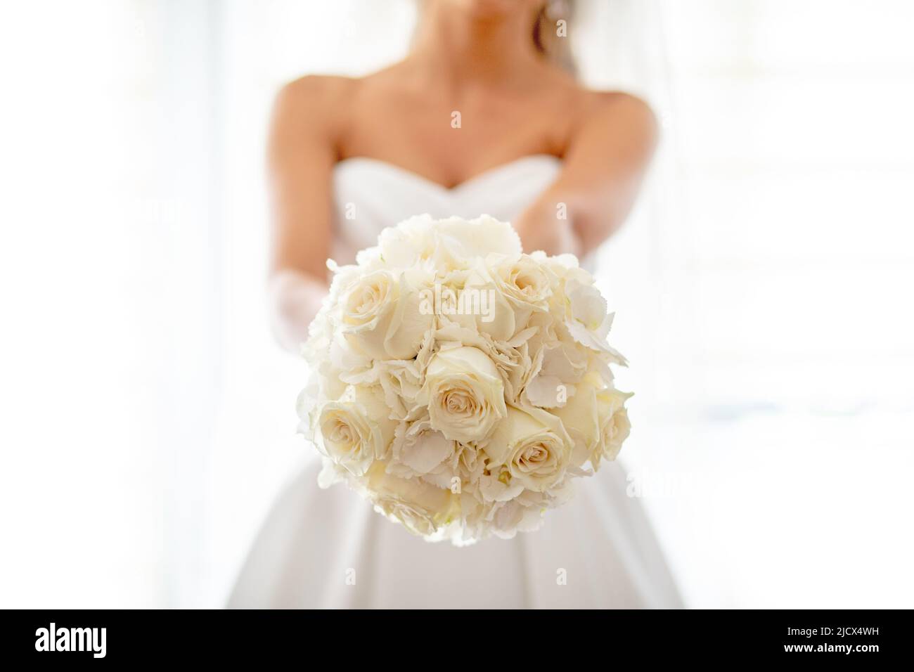 Aujourd'hui est le jour du mariage! Mariée avec bouquet de roses jaune clair dans les mains Banque D'Images
