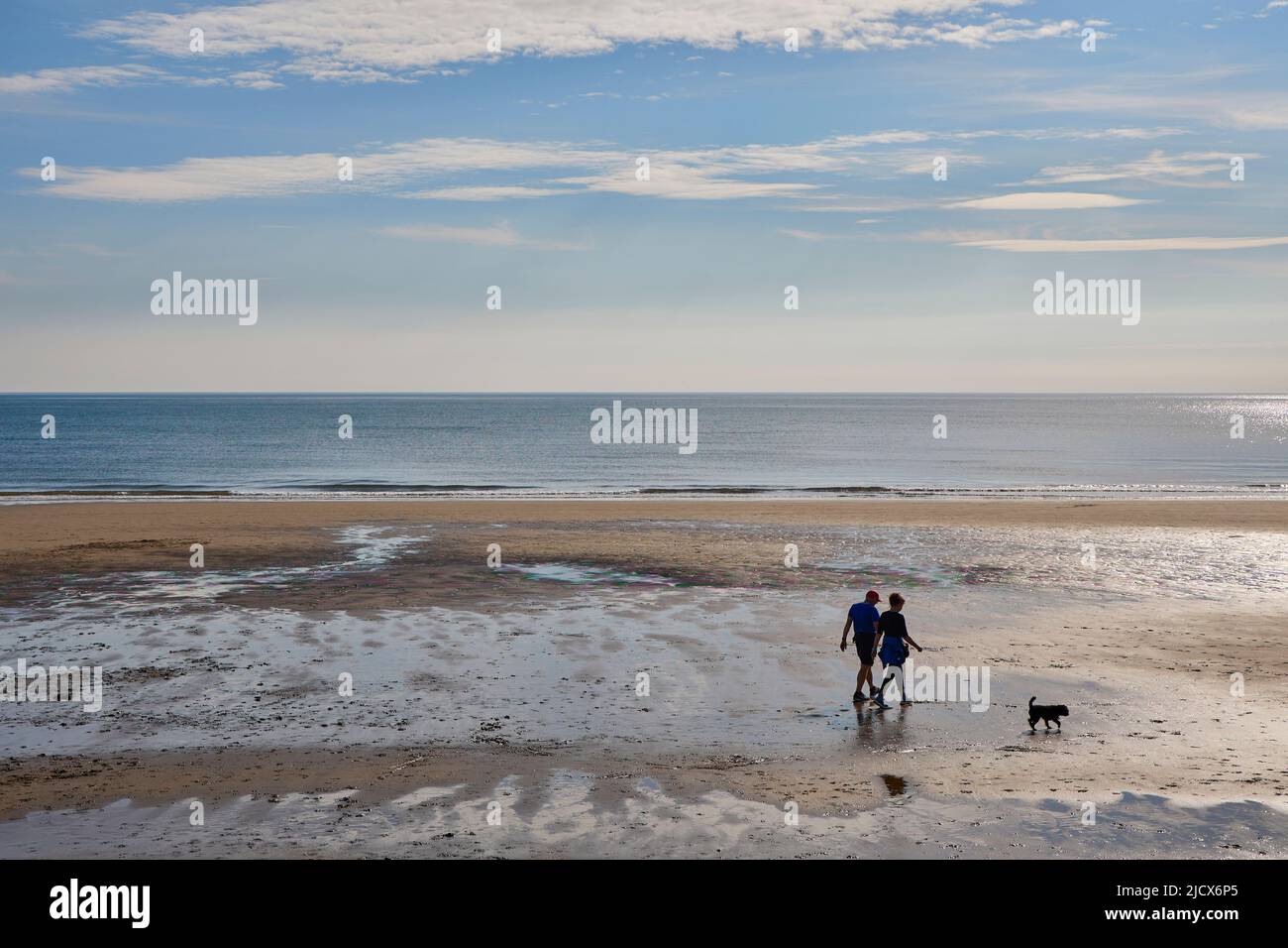 Couple chien de marche sur la plage de North Bay, Scarborough, Yorkshire, Angleterre, Royaume-Uni, Europe Banque D'Images