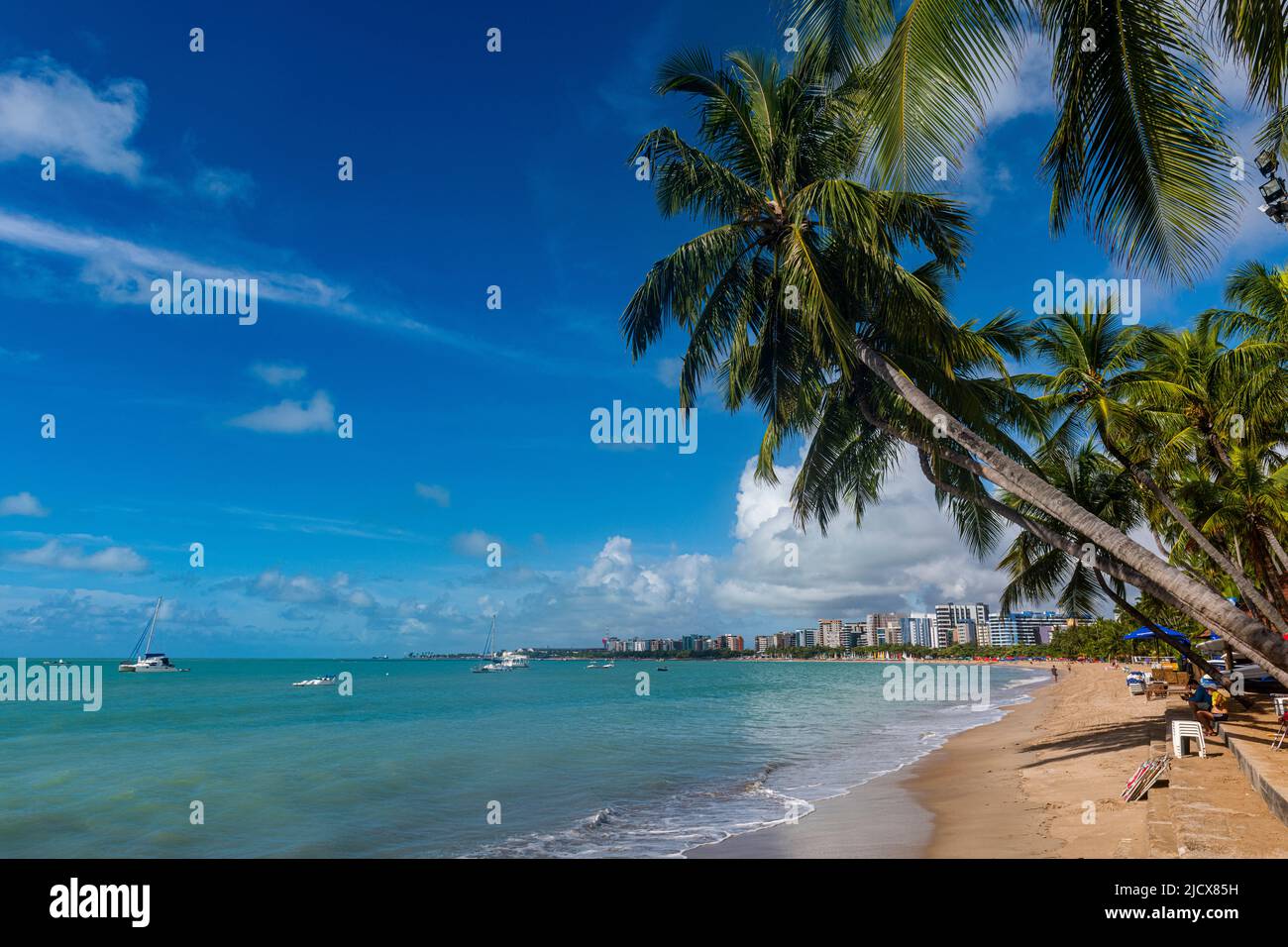 Plage bordée de palmiers, Maceio, Alagoas, Brésil, Amérique du Sud Banque D'Images