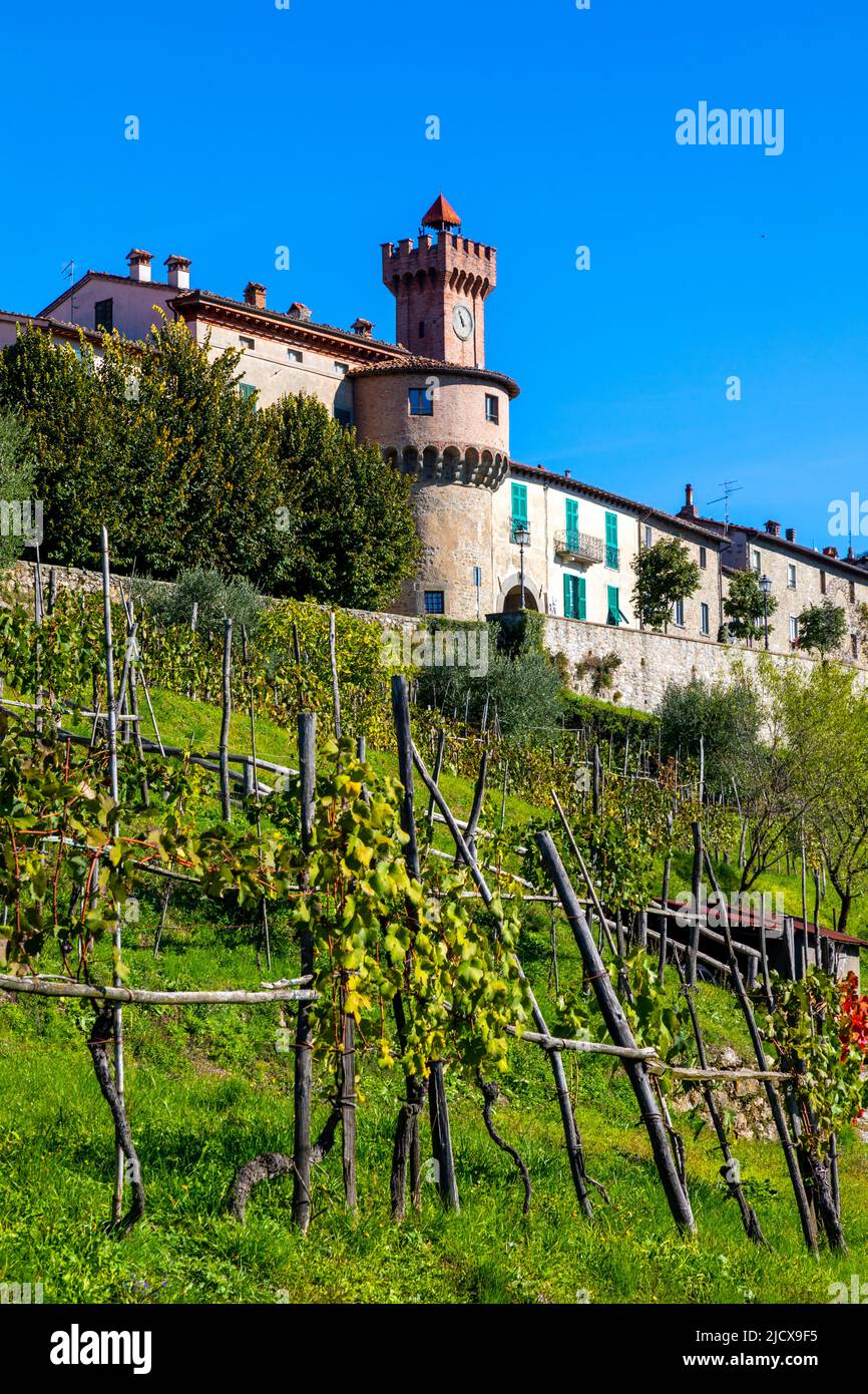 Vignes sur la colline en face de Castiglione di Garfagnana, Toscane, Italie, Europe Banque D'Images