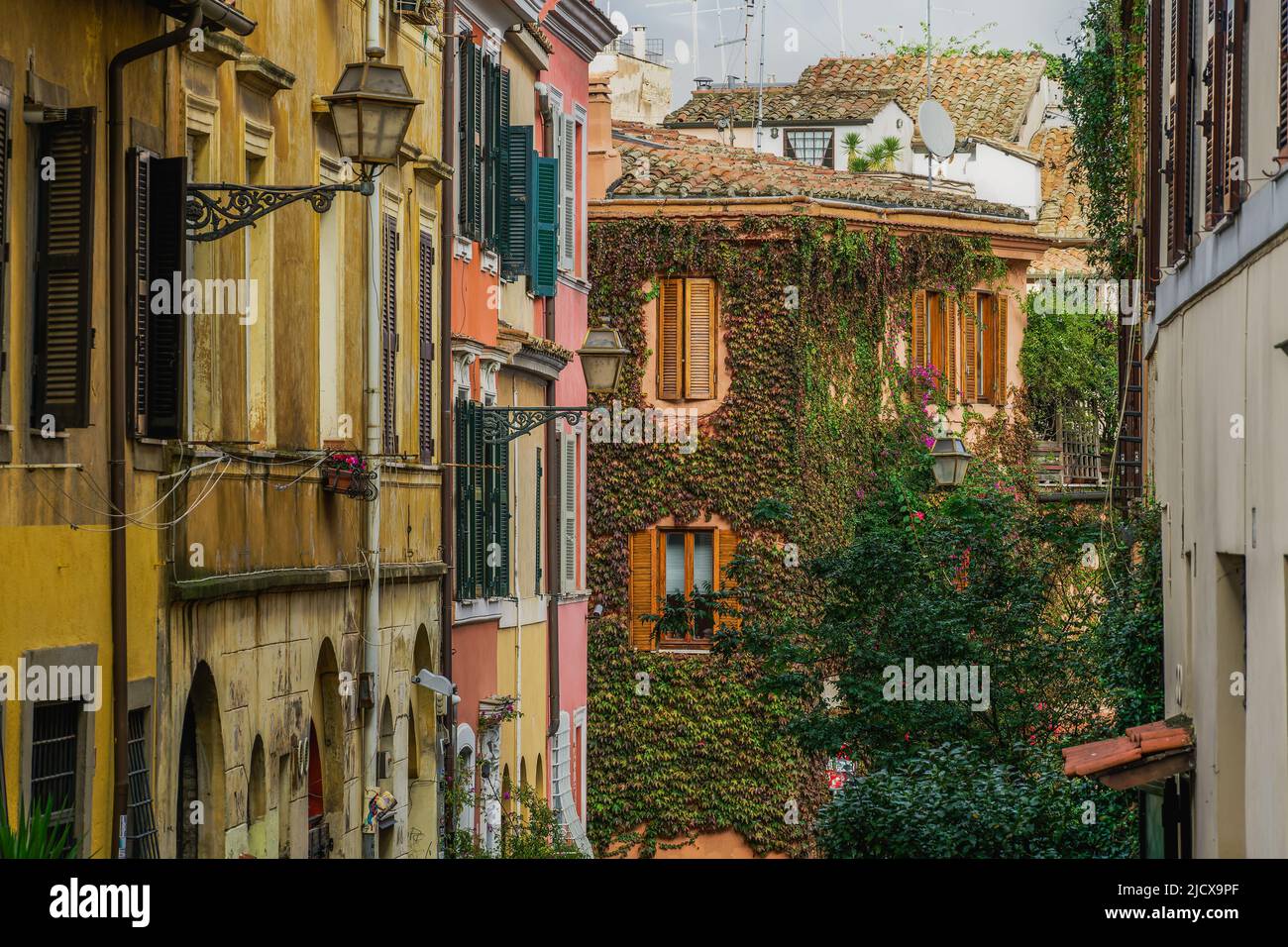 Maisons de rue traditionnelles avec des plantes suspendues vives verdure dans le quartier de la vieille ville de Trastevere, Rome, Lazio, Italie, Europe Banque D'Images