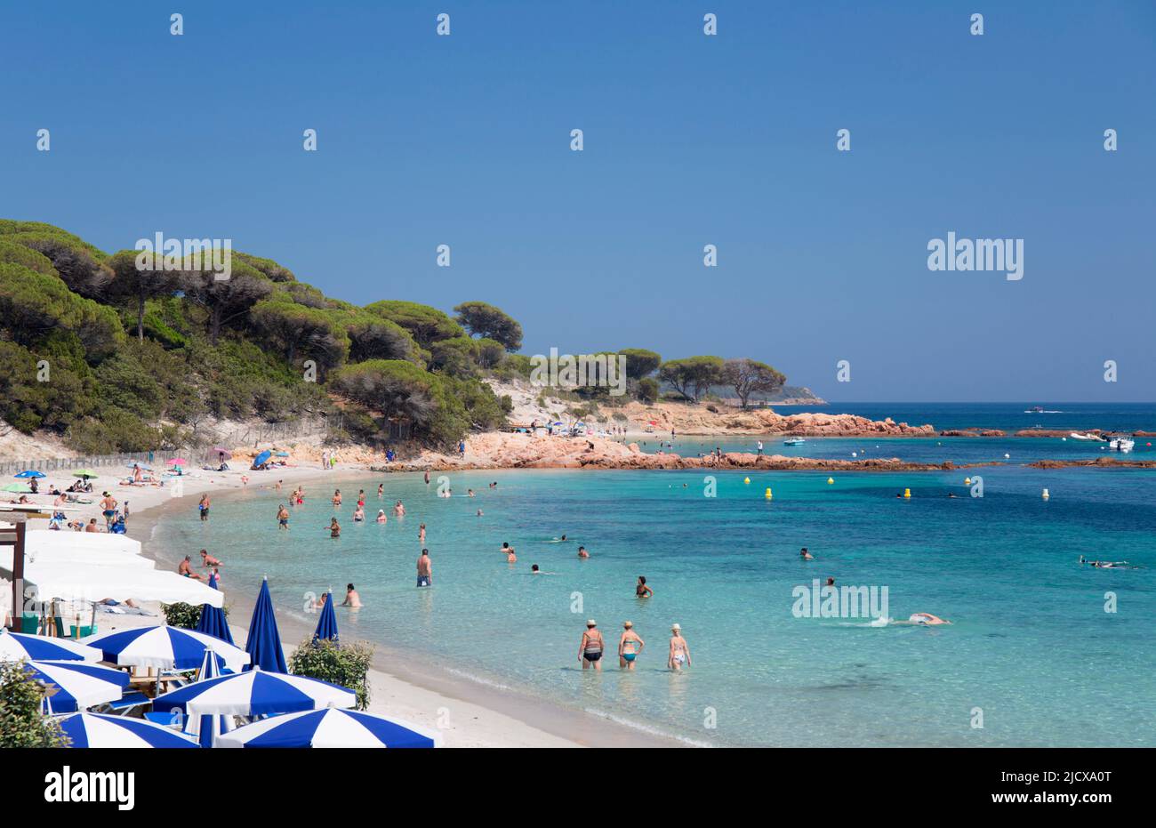 Touristes se détendant dans les eaux turquoise peu profondes au large de la Plage de Palombaggia, Porto-Vecchio, Corse-du-Sud, Corse, France, Méditerranée, Europe Banque D'Images