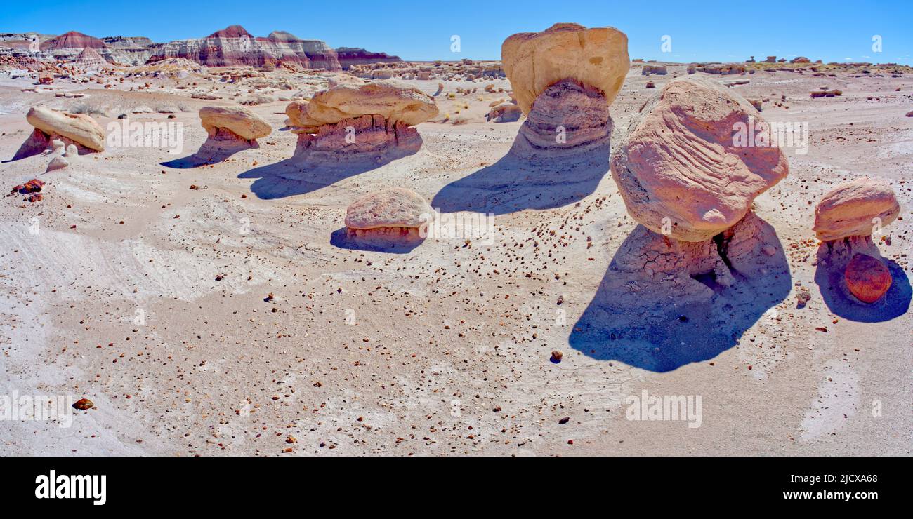 Rochers dans Devil's Playground appelés gnomes de Désolation, parc national de la Forêt pétrifiée, Arizona, États-Unis d'Amérique, Amérique du Nord Banque D'Images