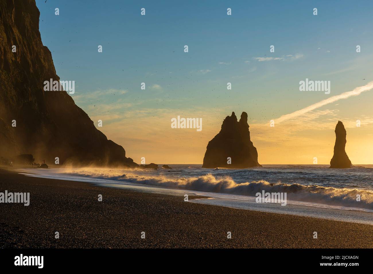 Plage de sable noir de Reynisfjara, Vik, Islande, régions polaires Banque D'Images