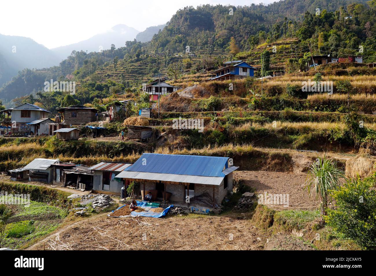 Village montagneux et agriculture traditionnelle, Lapilang, Dolakha, Népal, Asie Banque D'Images