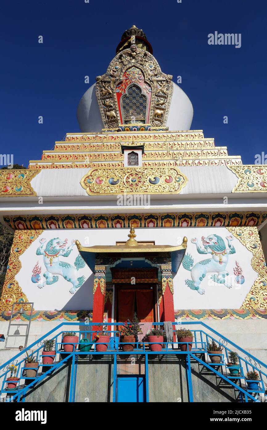 Monastère bouddhiste Shakhya Tharig, Katmandou, Népal, Asie Banque D'Images