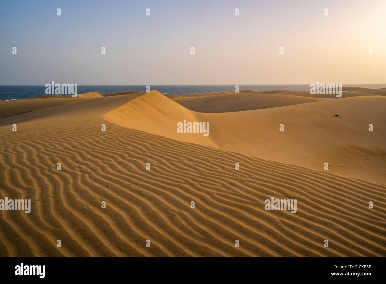 Vue sur les sables et les dunes à Maspalomas, Gran Canaria, îles Canaries, Espagne, Atlantique, Europe Banque D'Images