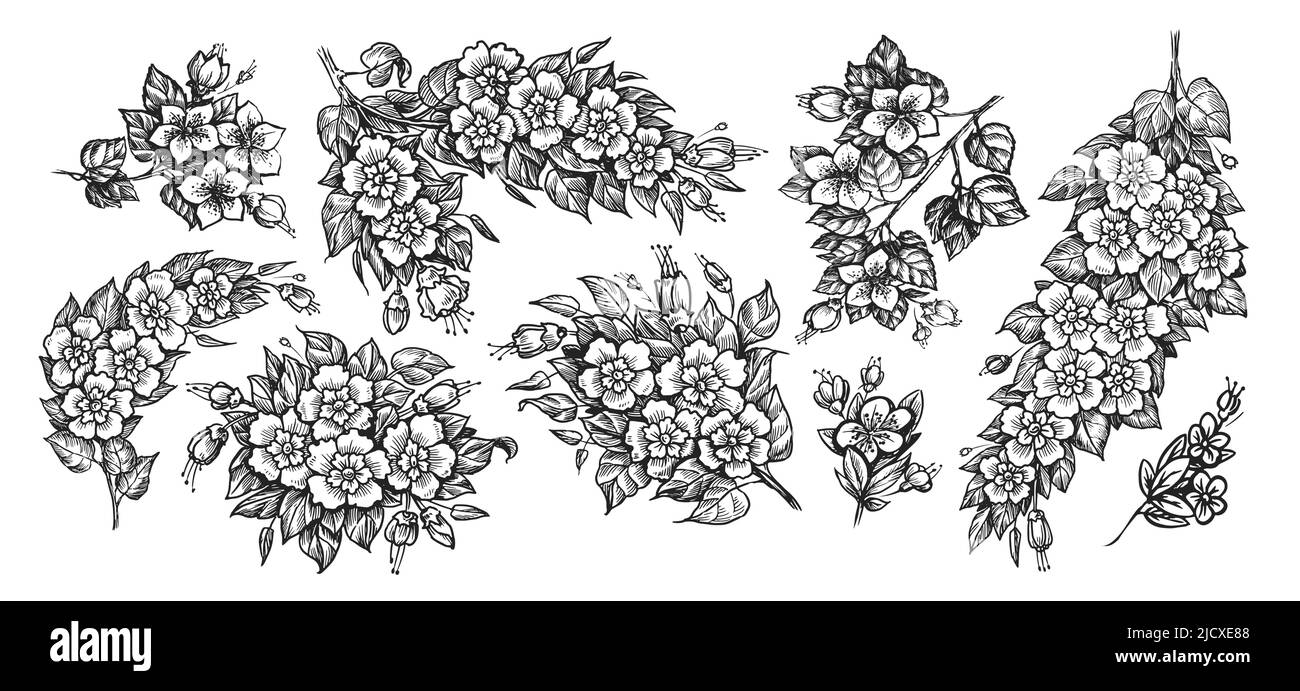 Branches avec fleurs et feuilles ensemble vecteur. Concept de la nature. Collection d'éléments de style gravure vintage Illustration de Vecteur