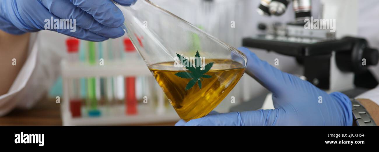 Chimiste en gants tenant une fiole avec de l'huile de marijuana dans un laboratoire fermé Banque D'Images