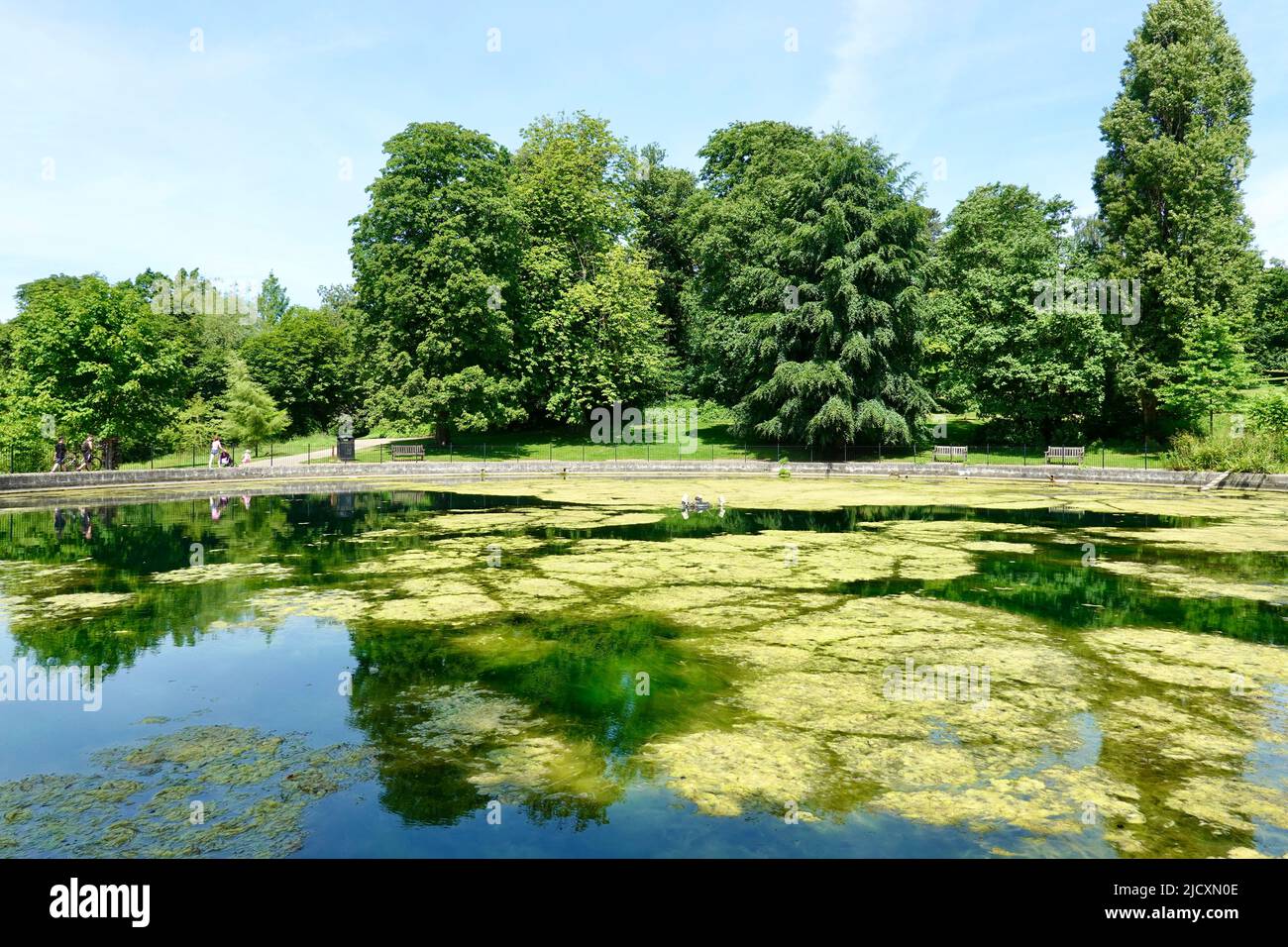Ipswich, Suffolk, Royaume-Uni - 16 juin 2022 : bassin rond du parc de Christchurch. Banque D'Images