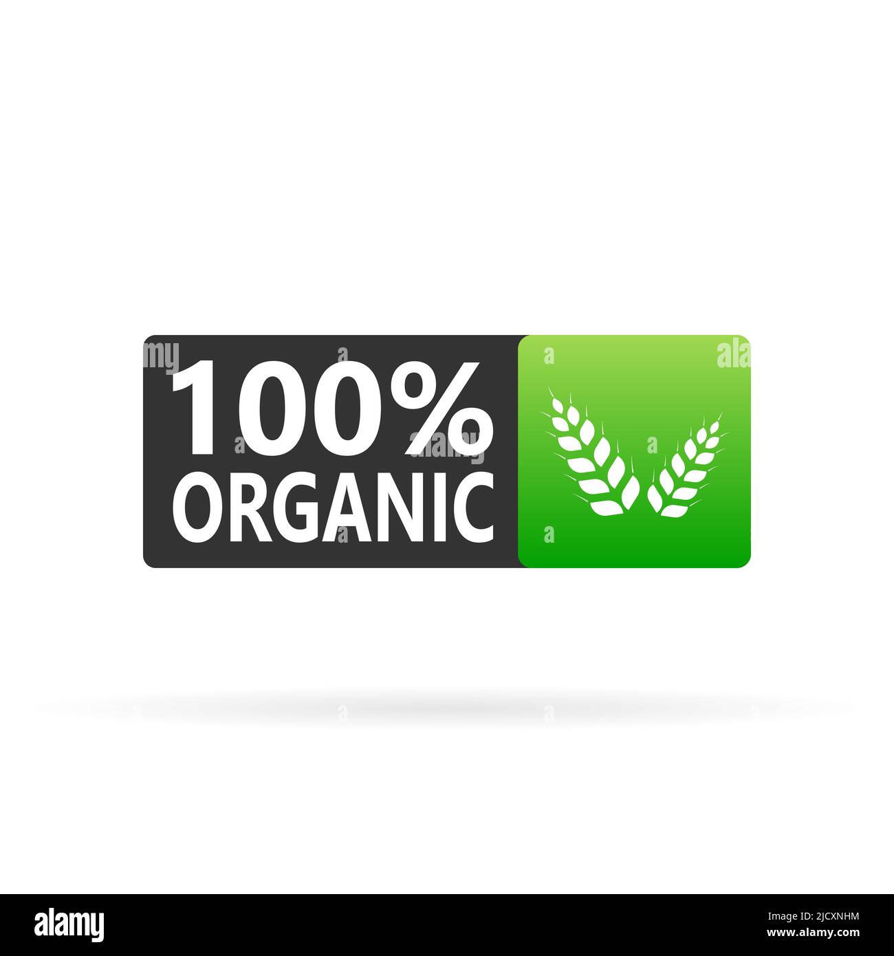 100 % d'étiquette biologique. badge écologique vert. Autocollant. Illustration vectorielle Illustration de Vecteur