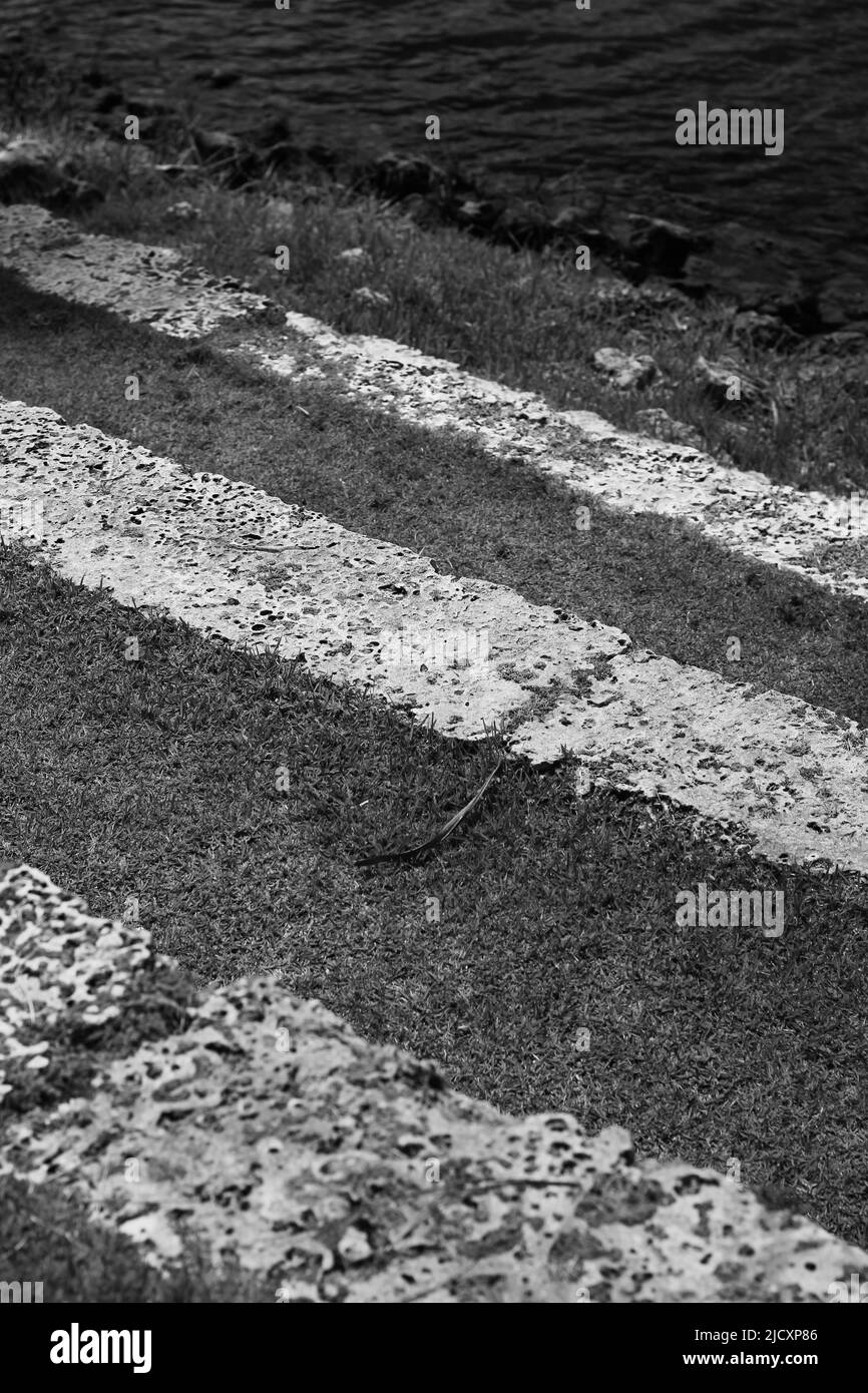 Le paysage naturel le long de la rive tropicale d'un lac d'eau douce en noir et blanc. Banque D'Images