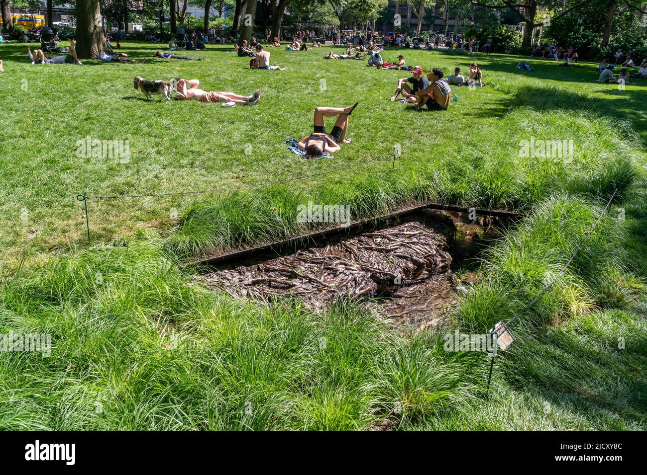 Les gens se prélassent au soleil sur la pelouse ovale du Madison Square Park à New York vendredi, 10 juin 2022 autour de l'installation du « paysage et mémoire » de Cristina Iglesias. L'installation d'art public recrée Cedar Creek, un plan d'eau qui coulait autrefois sous le parc. L'installation s'exécutera jusqu'à 4 décembre. (© Richard B. Levine) Banque D'Images