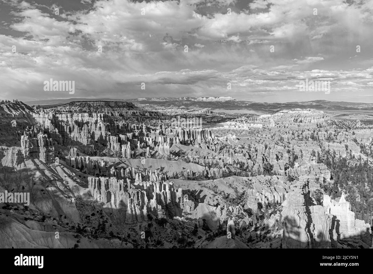 Vue panoramique sur les hoodoos dans le parc national de Bryce Canyon, Utah, États-Unis Banque D'Images
