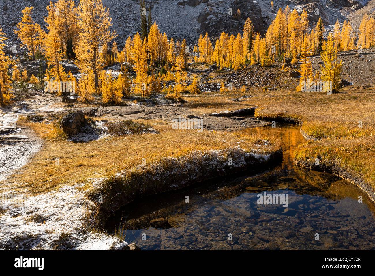 WA21683-00...WASHINGTON - le mélèze alpine égayant un bassin sous le pic Ingalls pendant la saison d'automne dans la région sauvage des lacs alpins. Banque D'Images