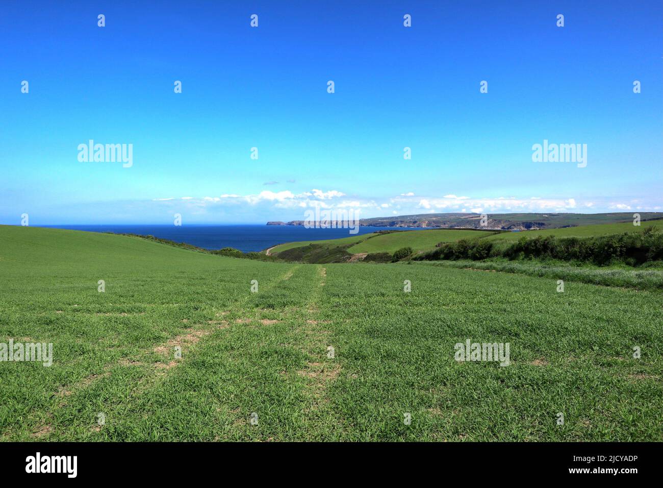 Le sentier intérieur entre Port Isaac et Port Quin sur la côte nord de Cornwall. Banque D'Images