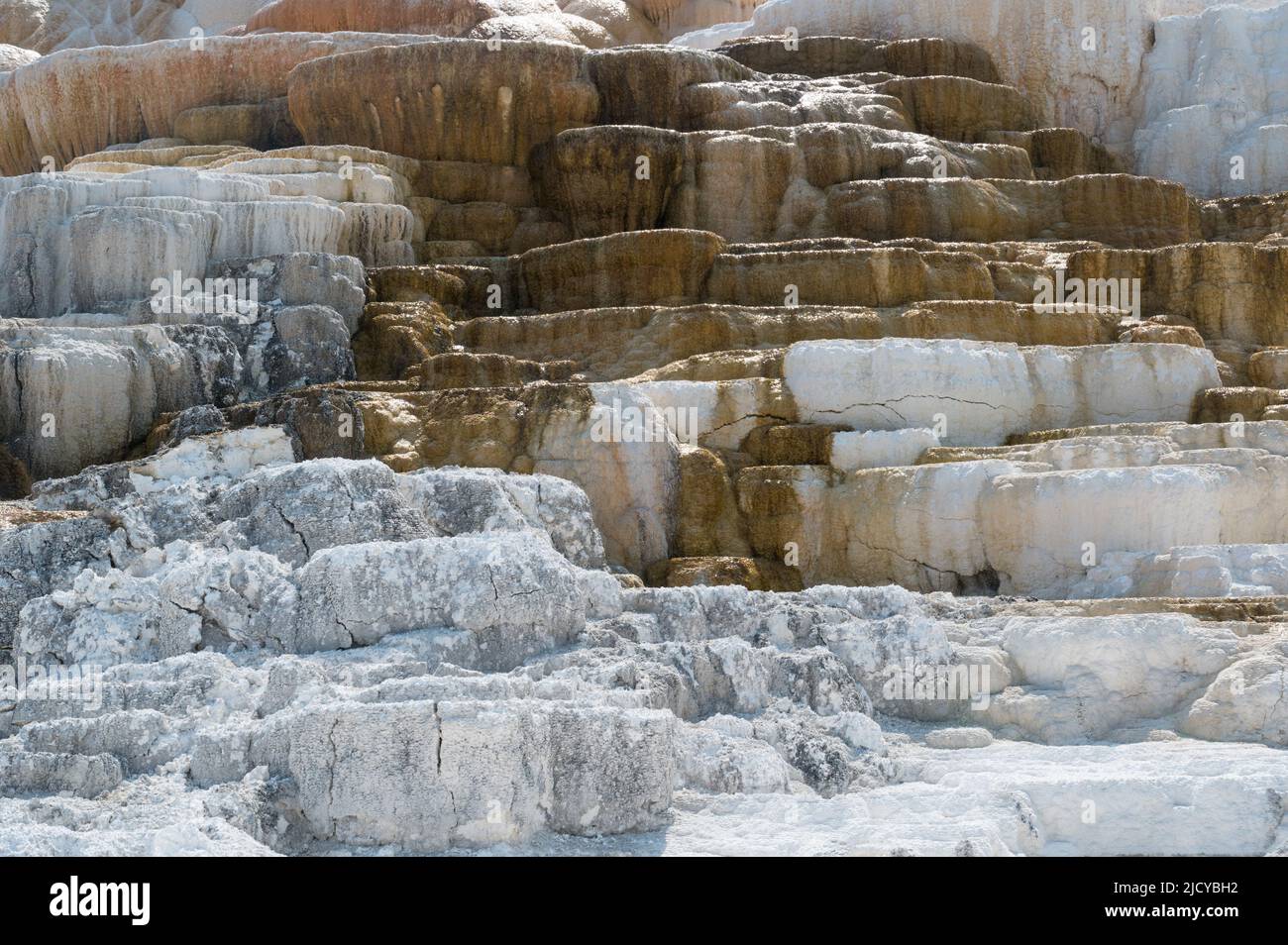 Le Parc National de Yellowstone, Wyoming Banque D'Images