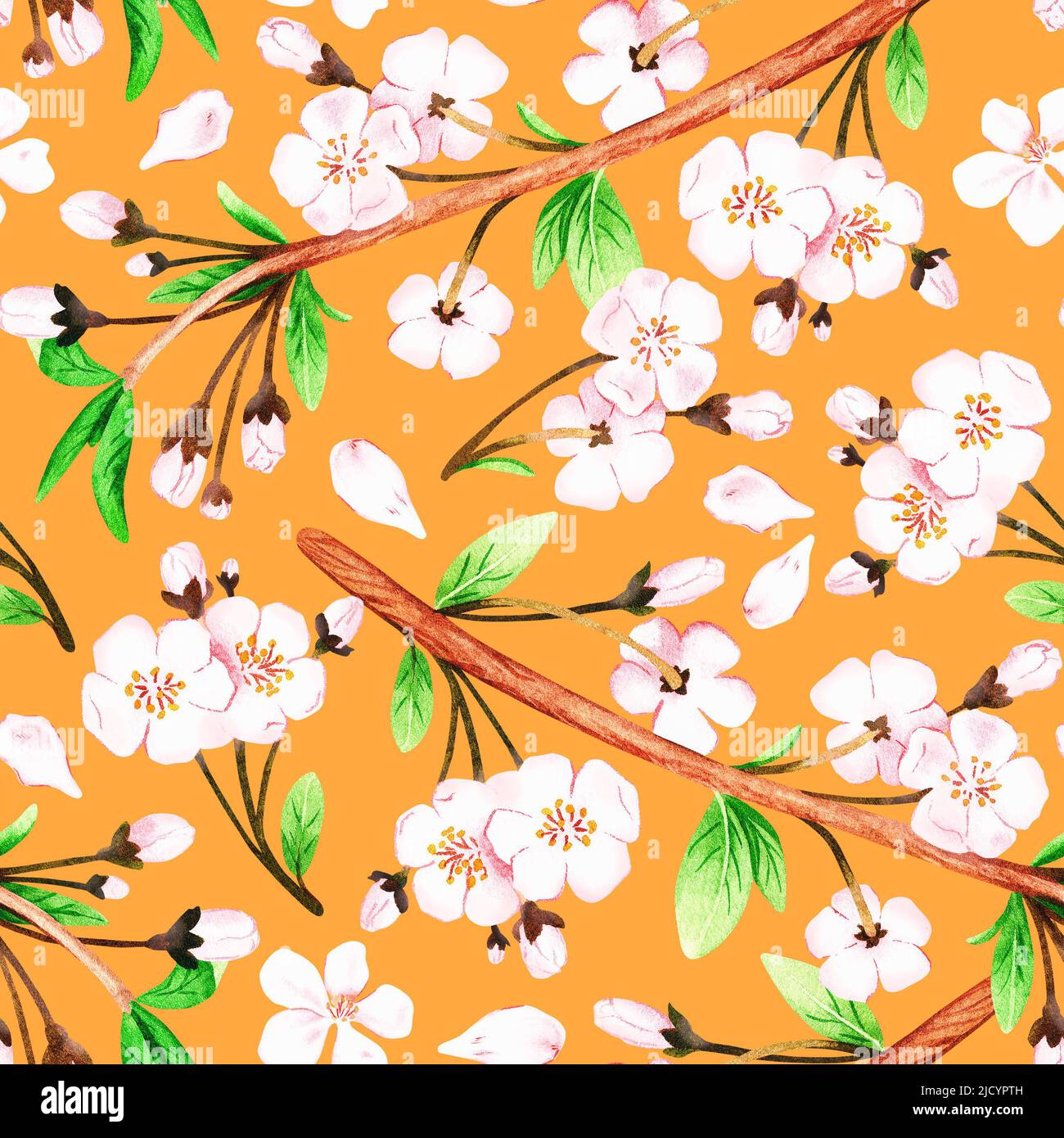 Motif sakura sans couture. Illustration aquarelle. Isolé sur fond jaune moutarde. Pour vos tissus de design, papier d'emballage, livres de cuisine, tabliers Banque D'Images