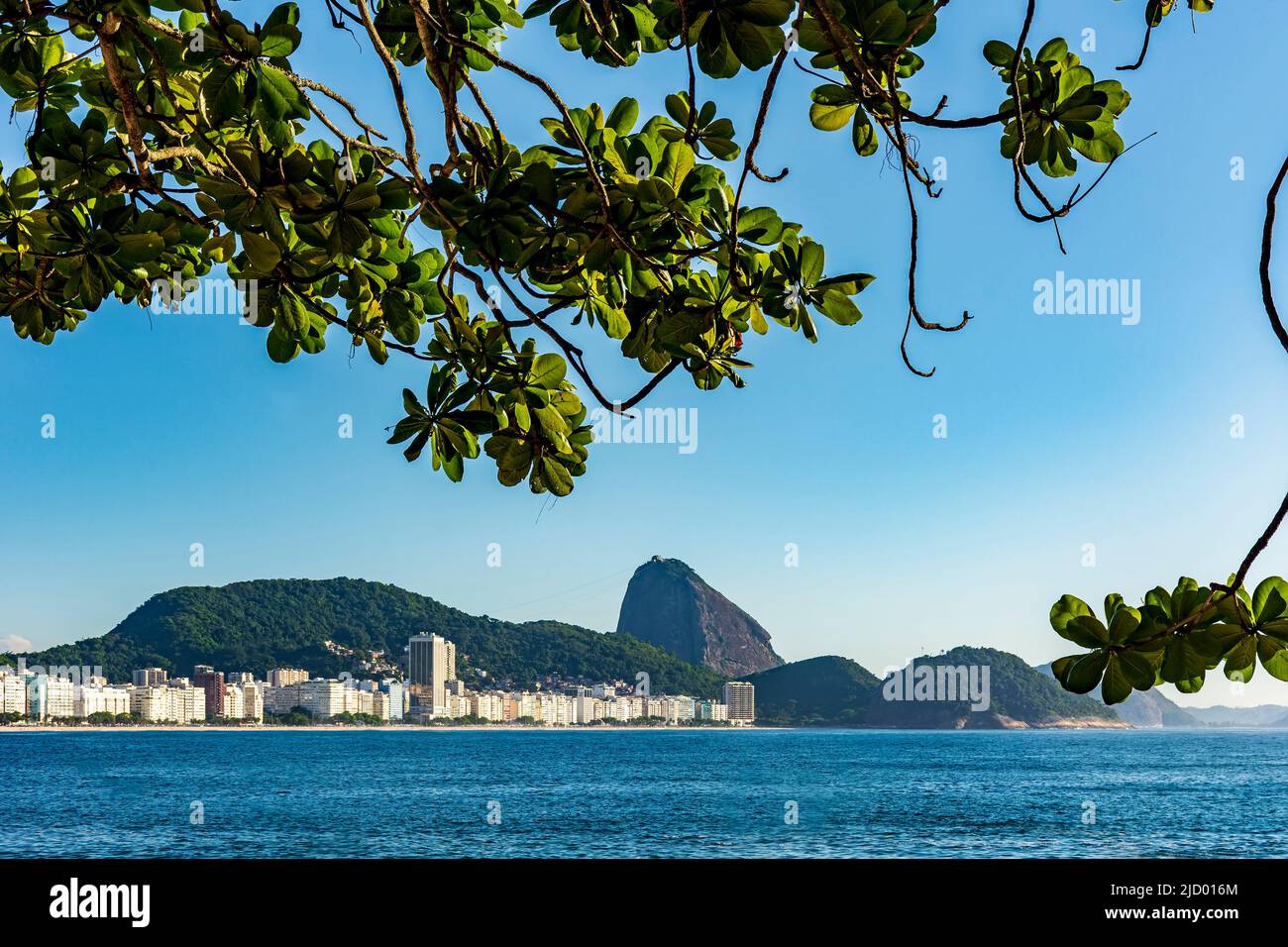 Vue sur la plage de Copacabana et le mont Sugarloaf à Rio de Janeiro à travers la végétation Banque D'Images