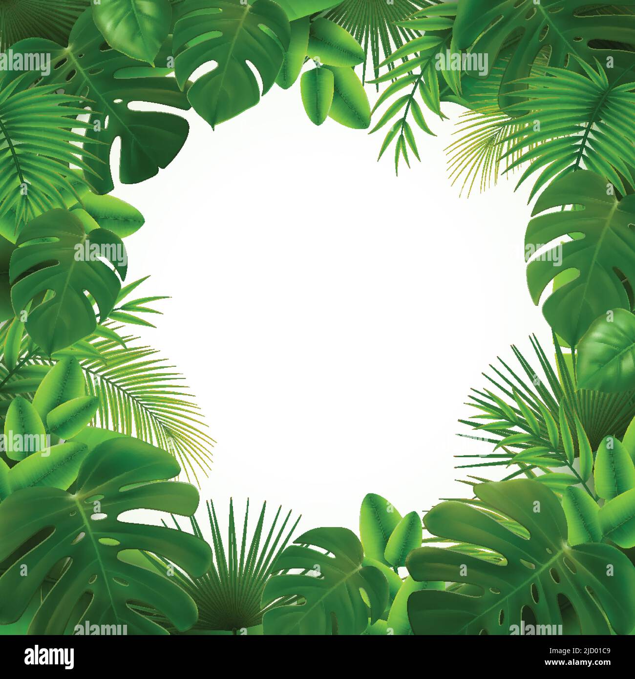 Feuilles tropicales branche de palmier réaliste composition de cadre transparent avec espace de cercle vide entouré de feuilles vertes illustration vectorielle Illustration de Vecteur