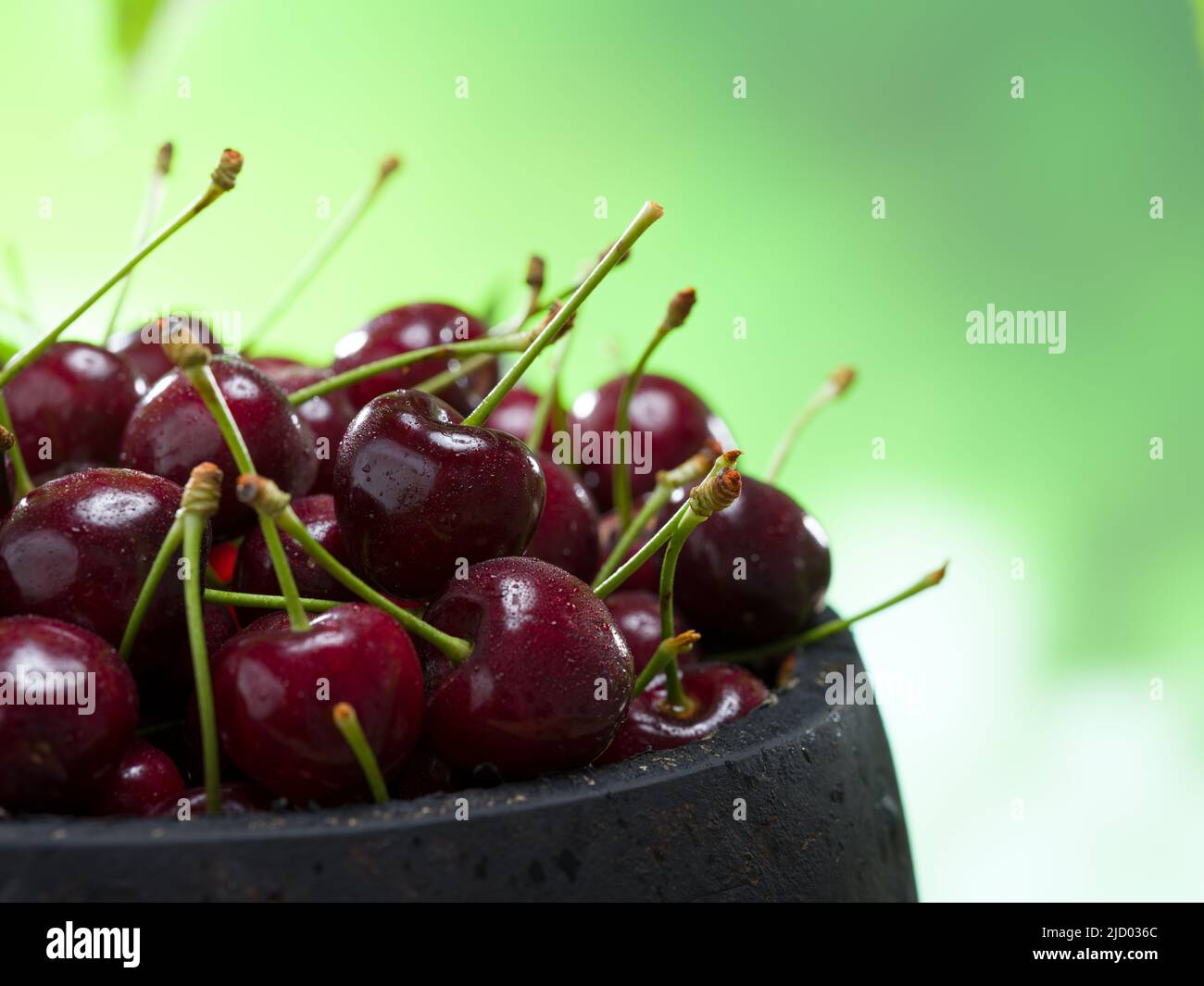 Vue rapprochée de magnifiques cerises dans un bol en bois rustique. Produits agricoles biologiques. Concept de nourriture naturelle. Cerises mûres Banque D'Images