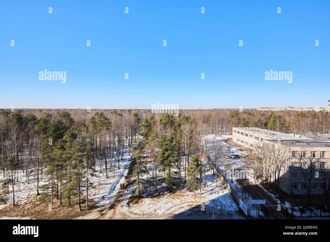 Vue de la fenêtre sur un magnifique parc en hiver Banque D'Images